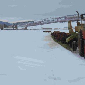 Daily feeding, mid-November till mid-May.