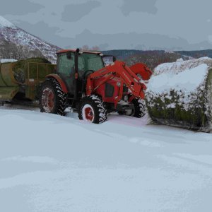 Mama Kay with a big load. Christmas Day 2017.